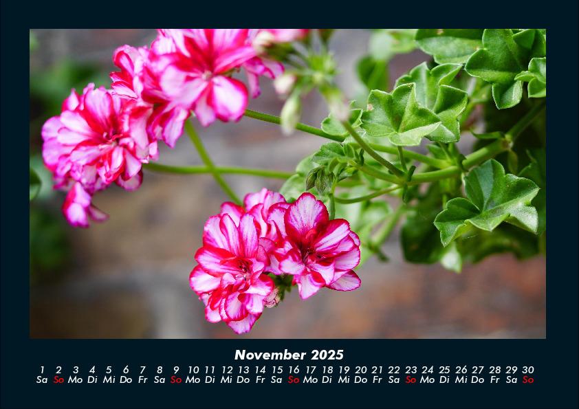 Bild: 9783755992325 | Blumenträume 2025 Fotokalender DIN A4 | Tobias Becker | Kalender