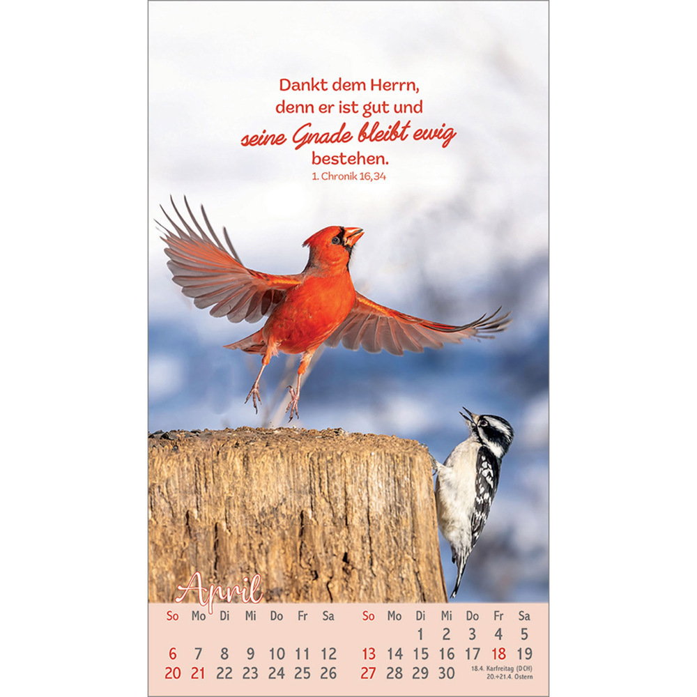 Bild: 9783754879757 | Beflügelt und geborgen | Vögel 2025 | Kalender | 13 S. | Deutsch