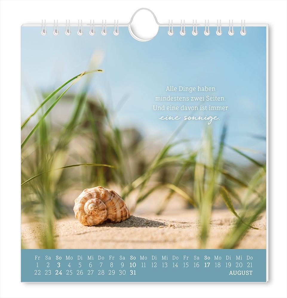 Bild: 9783986361167 | Postkartenkalender 2025 Strandgut | Postkartenkalender | Original