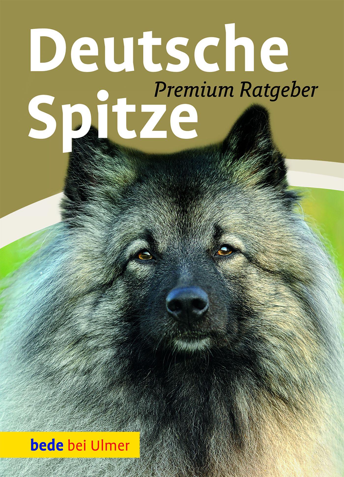 Cover: 9783800167364 | Deutsche Spitze | Wolfs-, Groß-, Mittel-, Klein-, Zwergspitz | Buch