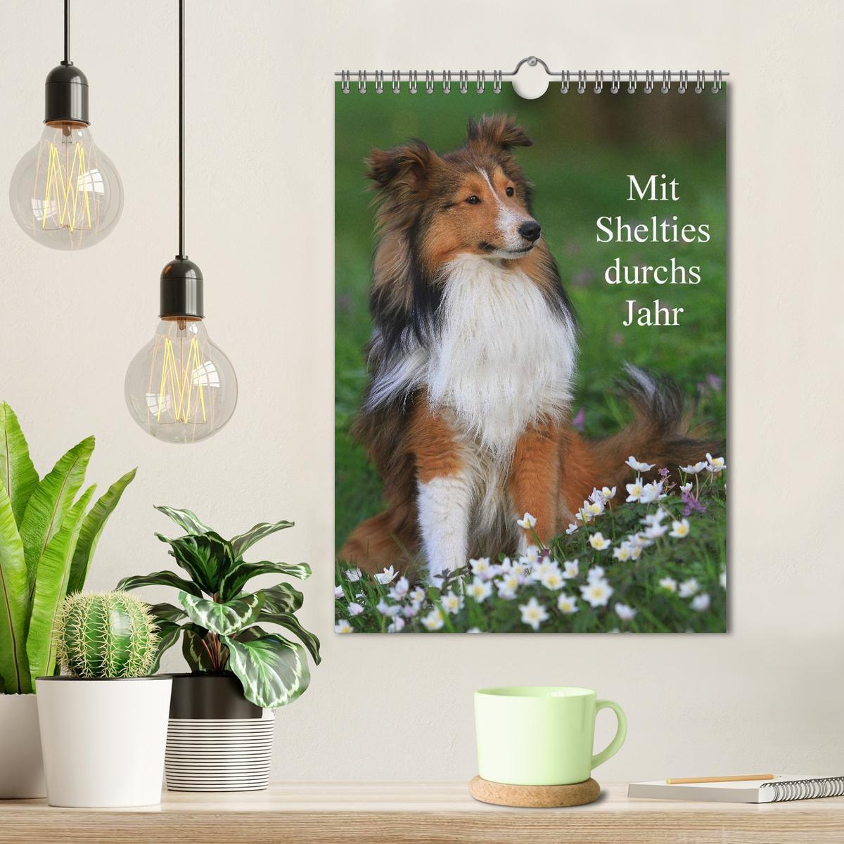 Bild: 9783457041130 | Mit Shelties durchs Jahr (Wandkalender 2025 DIN A4 hoch), CALVENDO...