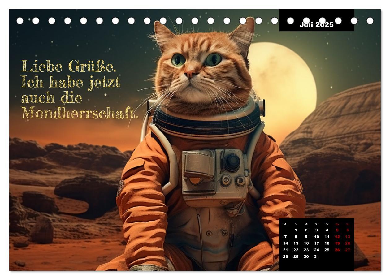 Bild: 9783383837753 | Katzen können alles, außer traurig. (Tischkalender 2025 DIN A5...