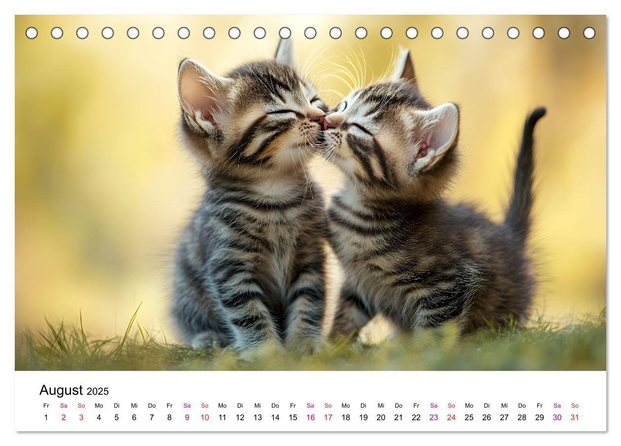 Bild: 9783457218334 | Katzenzauber - Samtpfoten im Jahreslauf (Tischkalender 2025 DIN A5...