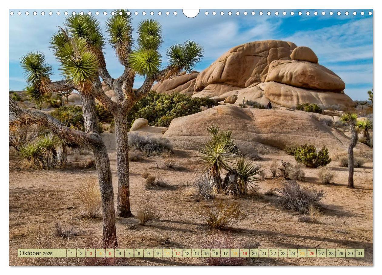 Bild: 9783435481576 | Nationalparks der USA - atemberaubend schön (Wandkalender 2025 DIN...