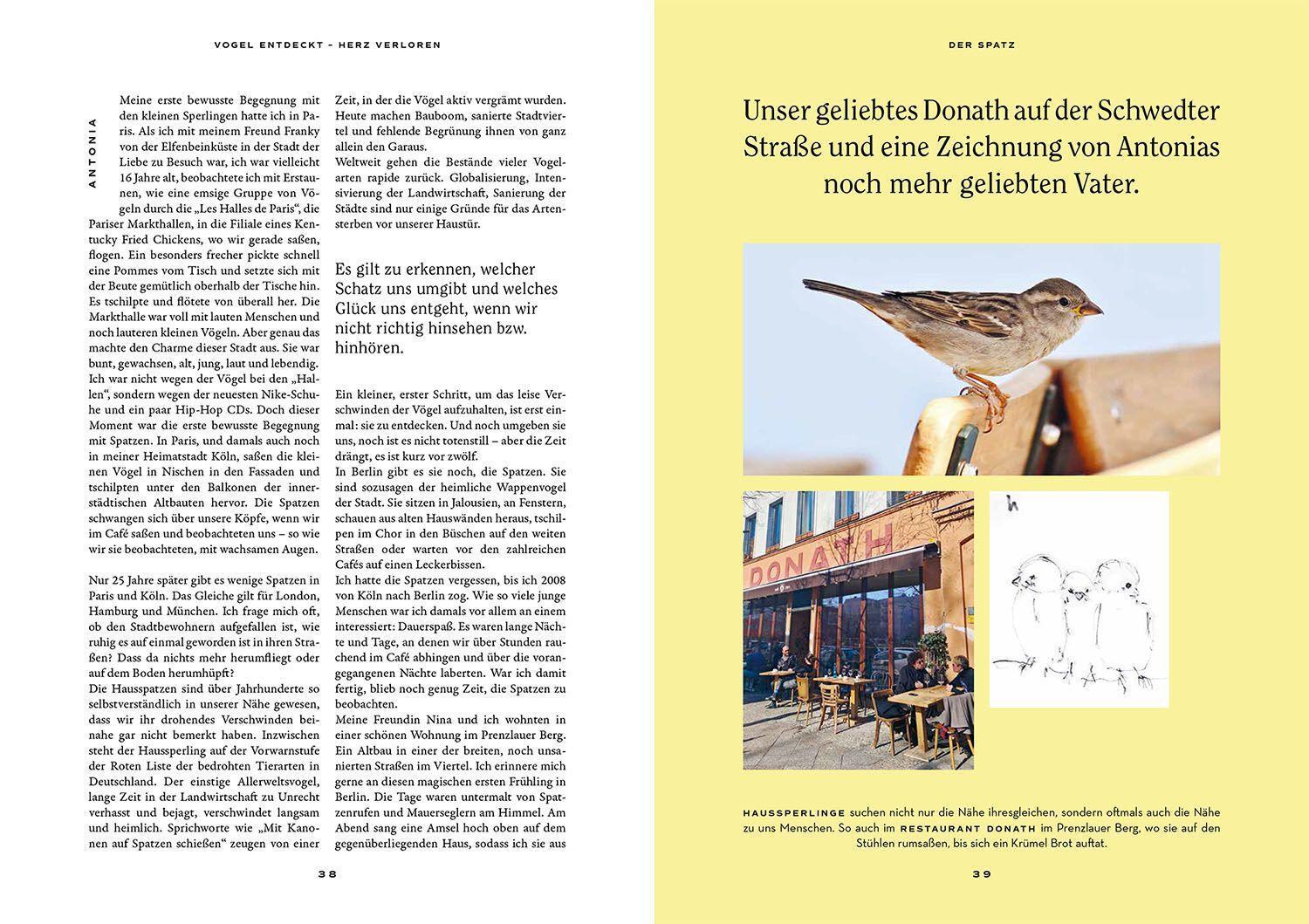 Bild: 9783440173664 | Vogel entdeckt - Herz verloren | Antonia Coenen (u. a.) | Taschenbuch