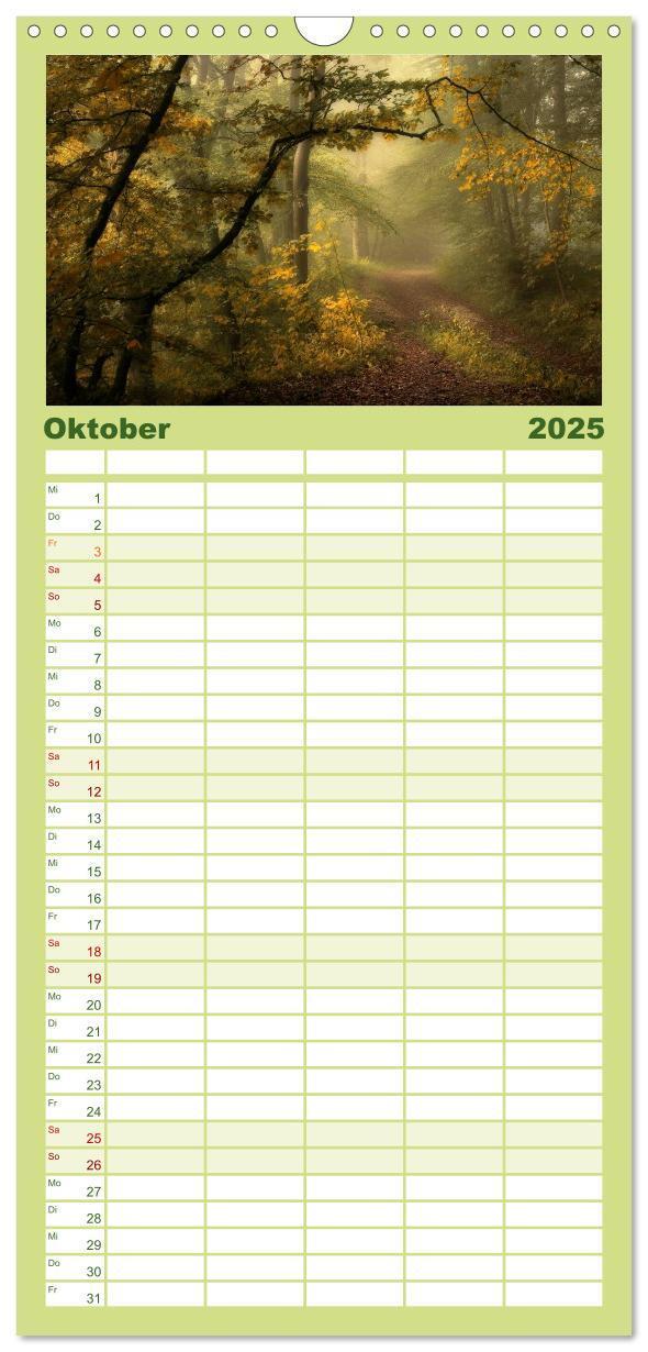 Bild: 9783457117453 | Familienplaner 2025 - Mysterium Wald mit 5 Spalten (Wandkalender,...