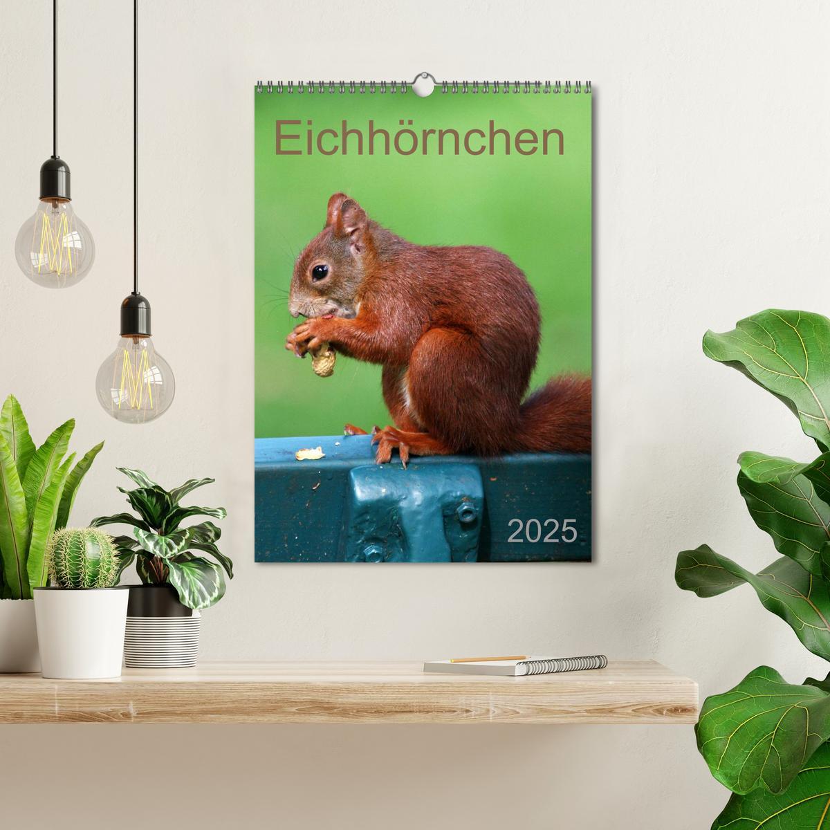 Bild: 9783457081020 | Eichhörnchen (Wandkalender 2025 DIN A3 hoch), CALVENDO Monatskalender