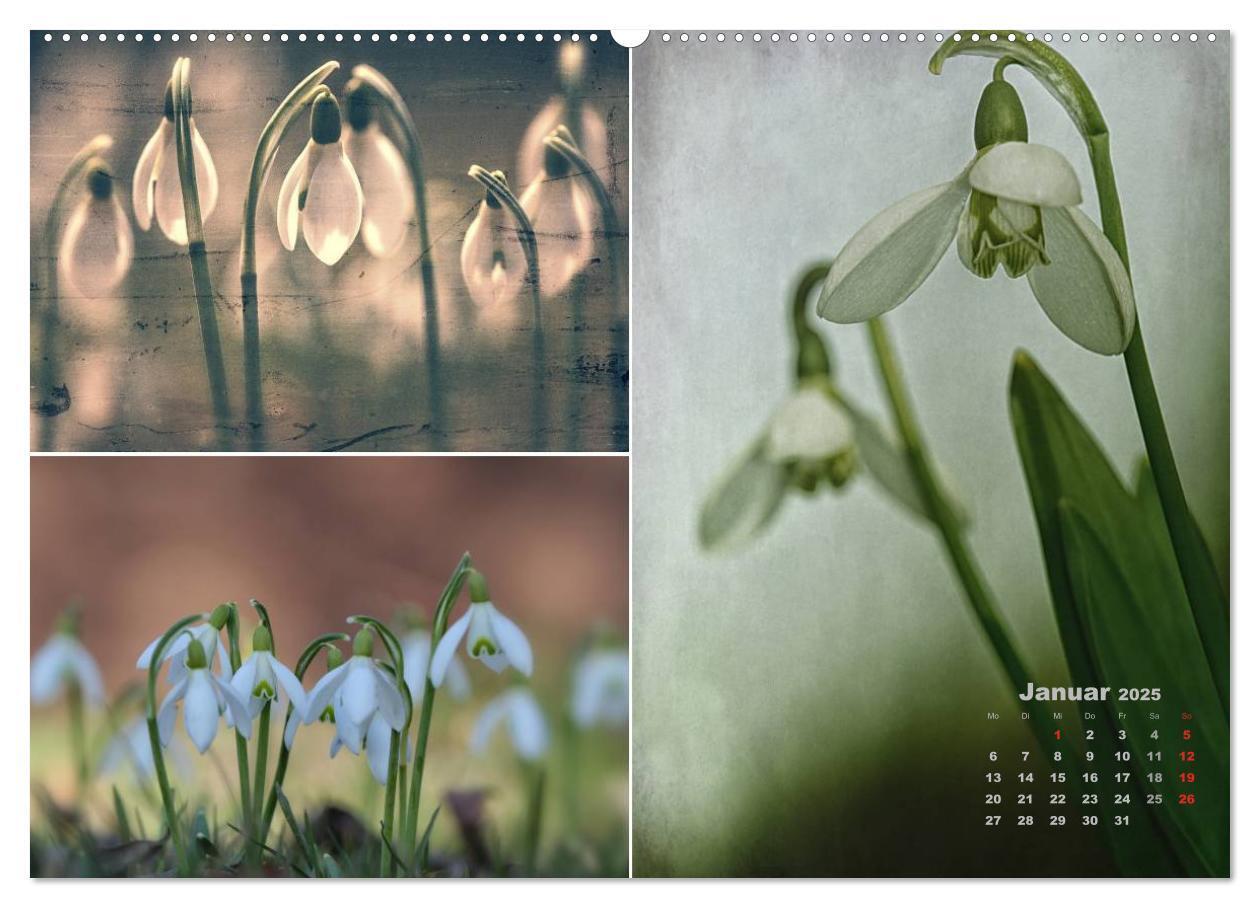 Bild: 9783435611713 | Blumenreise 2025 (Wandkalender 2025 DIN A2 quer), CALVENDO...