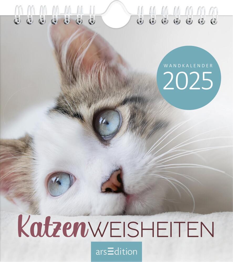 Cover: 4014489133667 | Wandkalender Katzenweisheiten 2025 | Kalender | 26 S. | Deutsch | 2025