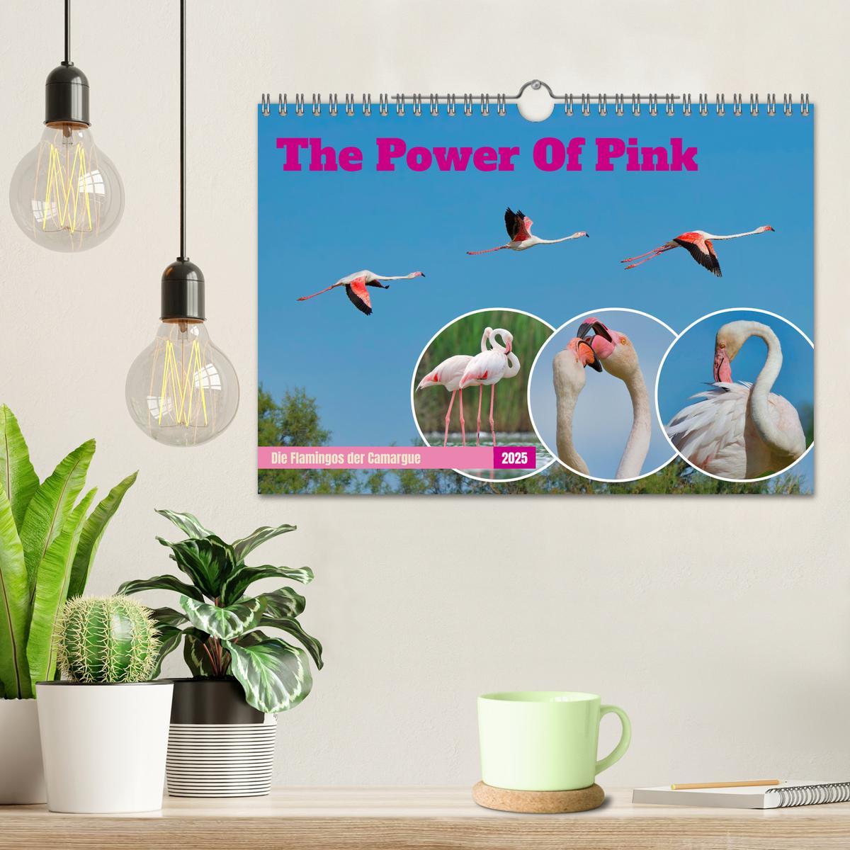 Bild: 9783457141618 | The Power Of Pink (Wandkalender 2025 DIN A4 quer), CALVENDO...