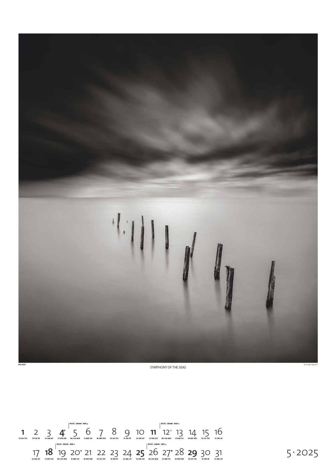 Bild: 4251734300676 | Black &amp; White 2025 - Bildkalender 50x70 cm - Wandkalender XL -...