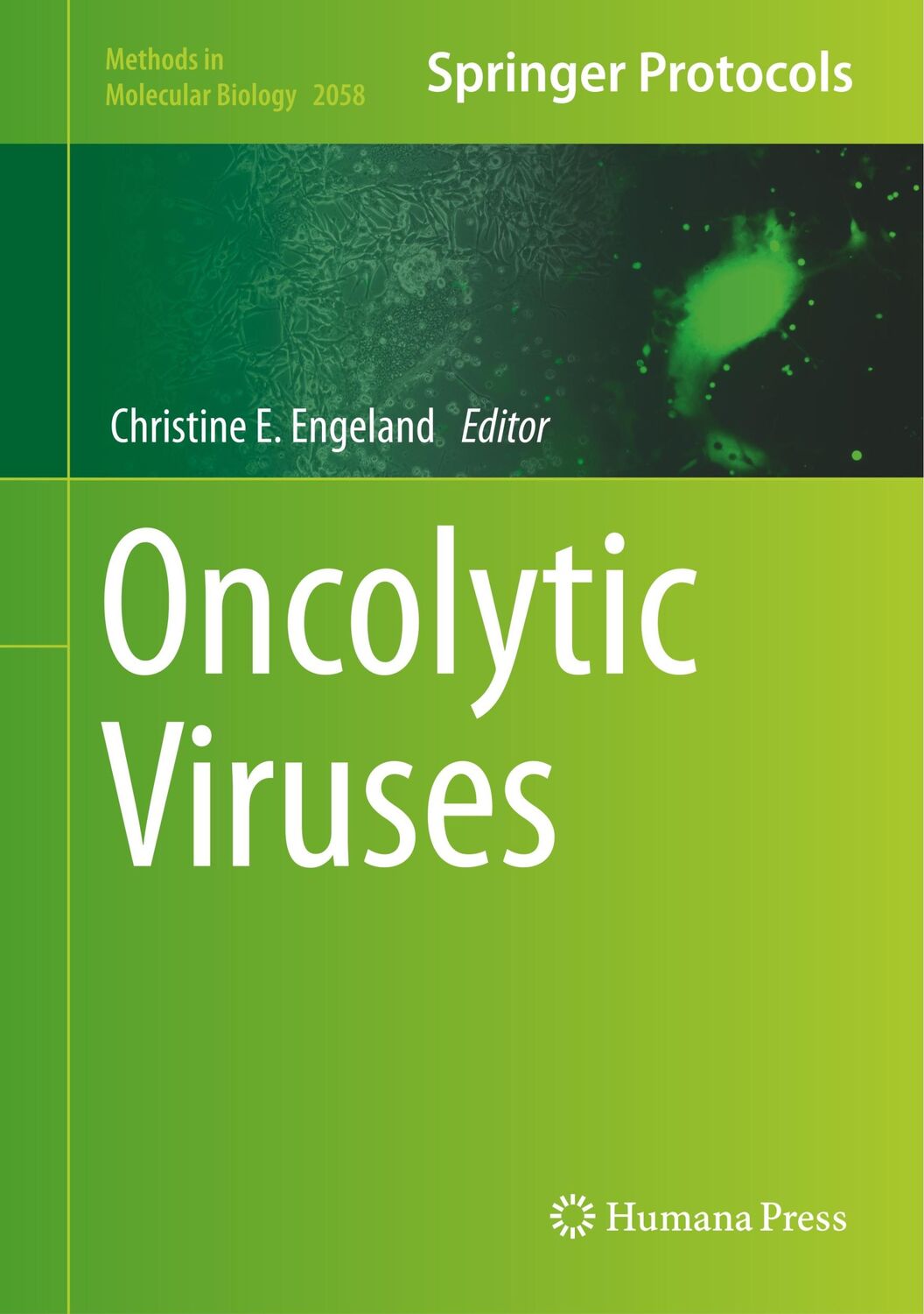 Cover: 9781493997930 | Oncolytic Viruses | Christine E. Engeland | Buch | xi | Englisch