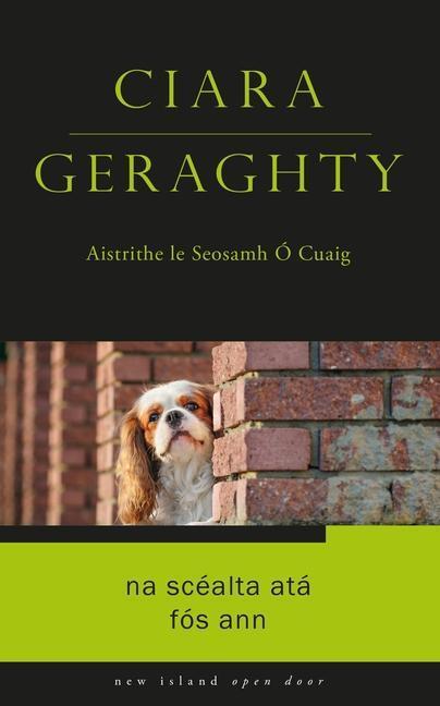 Cover: 9781848408975 | Na Scealta Ata Fos Ann | Ciara Geraghty | Taschenbuch | Englisch