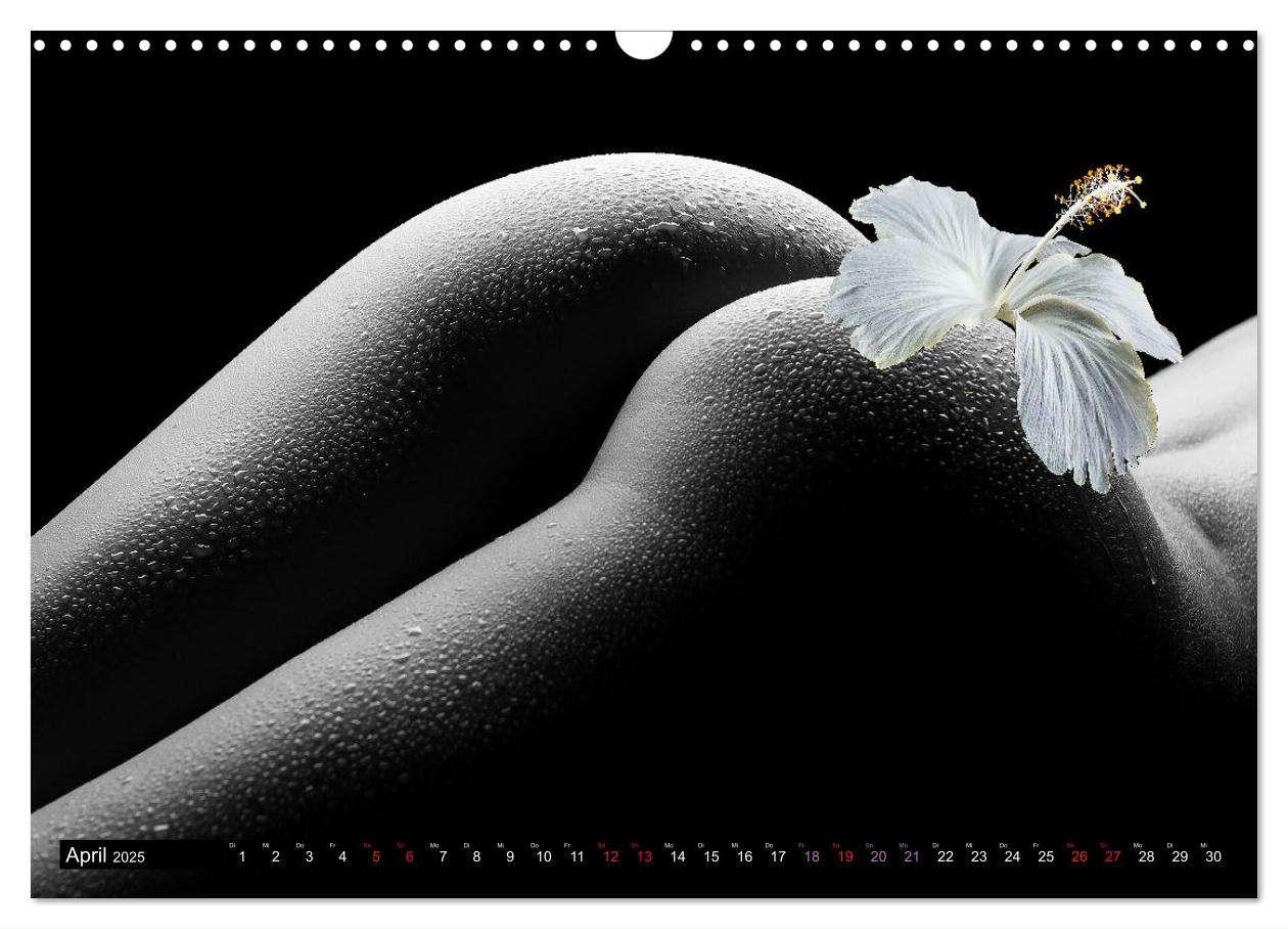 Bild: 9783383975219 | Erotik Art etwas Blumig POMBASTISCH (Wandkalender 2025 DIN A3...