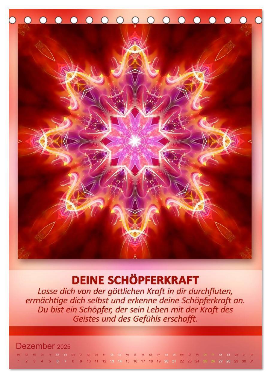 Bild: 9783457079515 | Light Energy Mandalas - Kalender - Vol. 1 (Tischkalender 2025 DIN...