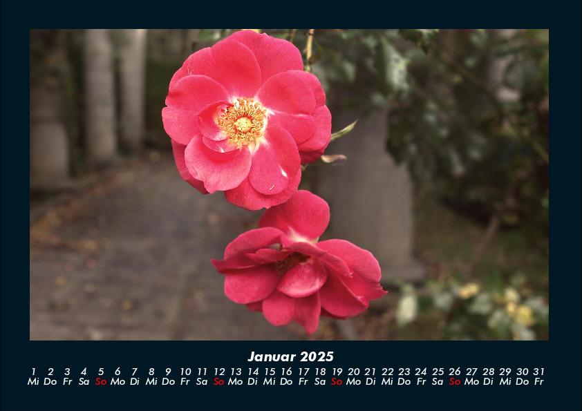 Bild: 9783755992325 | Blumenträume 2025 Fotokalender DIN A4 | Tobias Becker | Kalender