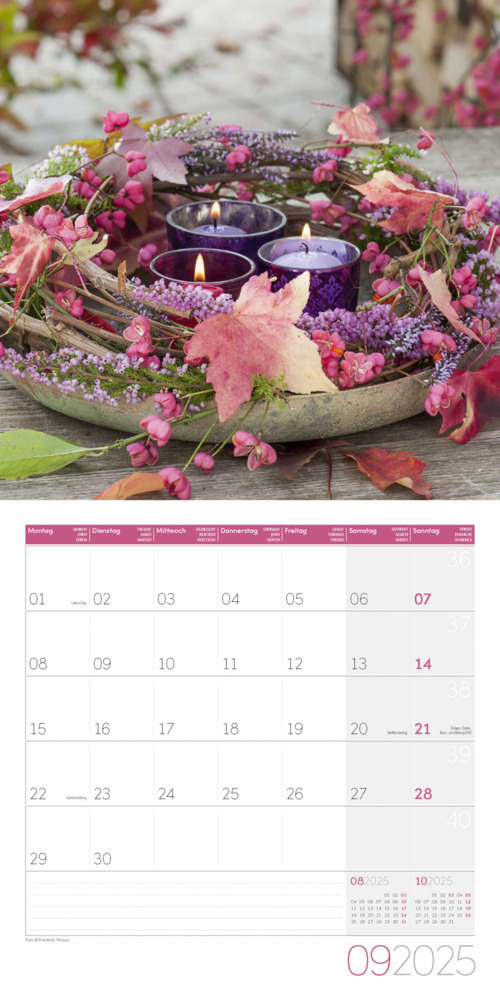 Bild: 9783838445007 | Blumenzauber Kalender 2025 - 30x30 | Ackermann Kunstverlag | Kalender