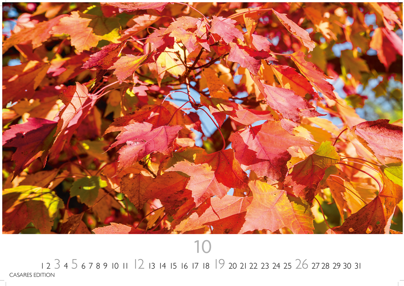 Bild: 9781835242803 | Indian Summer 2025 L 35x50cm | Kalender | 14 S. | Deutsch | 2025