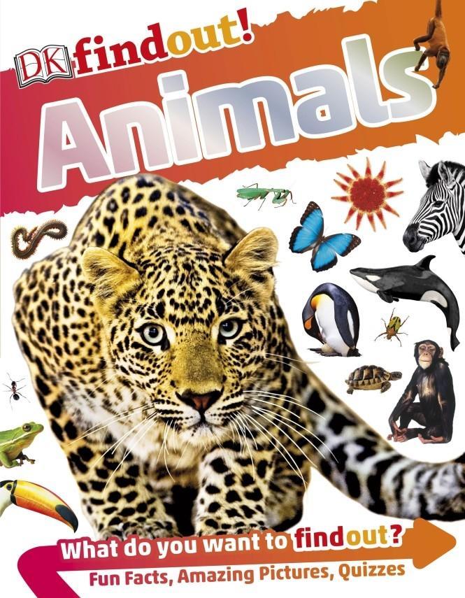 Cover: 9780241250259 | DKfindout! Animals | Dk | Taschenbuch | 64 S. | Englisch | 2016