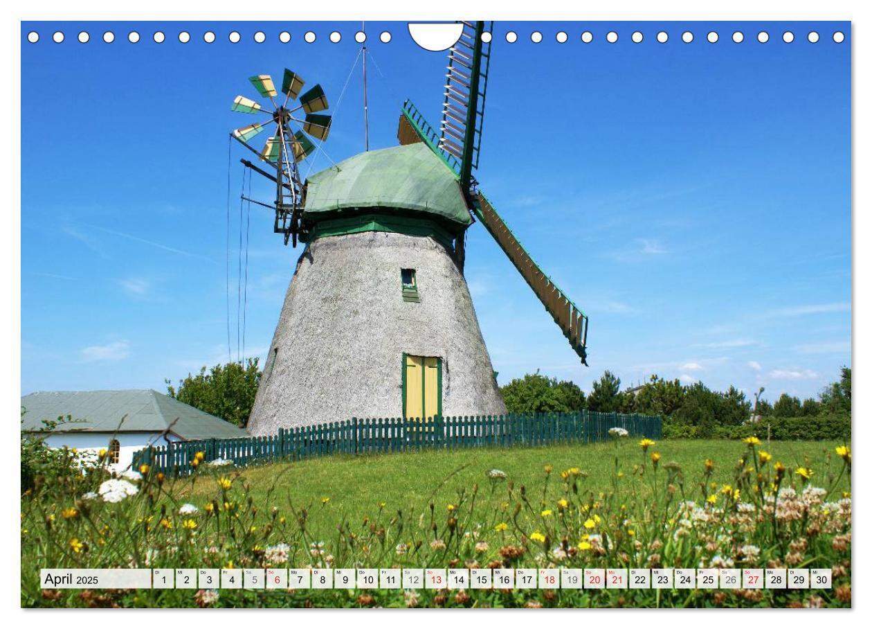 Bild: 9783435491285 | Amrum ¿ Trauminsel in der Nordsee (Wandkalender 2025 DIN A4 quer),...