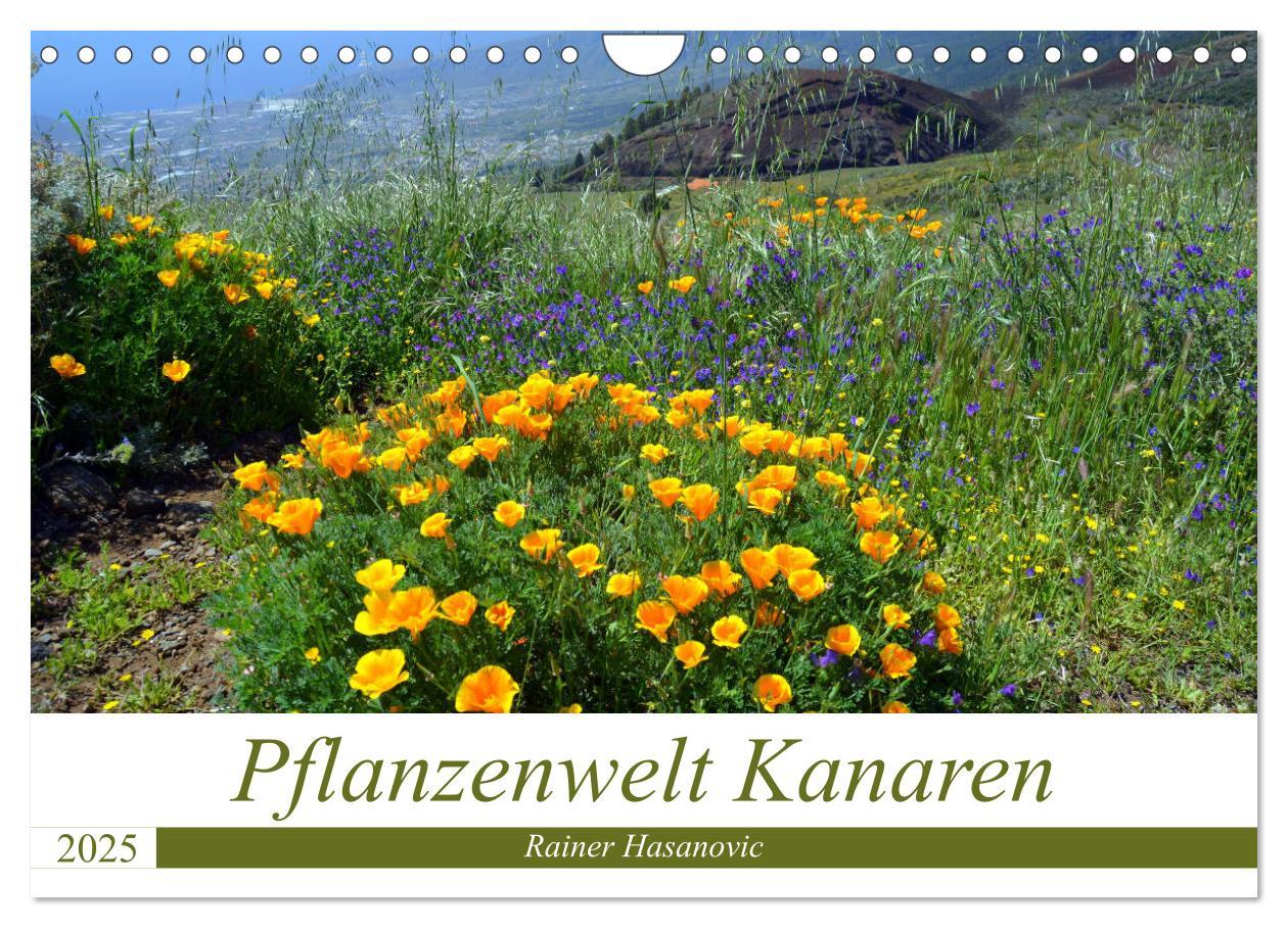 Cover: 9783435430970 | Pflanzenwelt Kanaren (Wandkalender 2025 DIN A4 quer), CALVENDO...