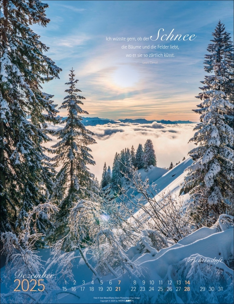 Bild: 9783839901380 | Heimische Wälder Kalender 2025 - Duftkalender | Kalender | 14 S.