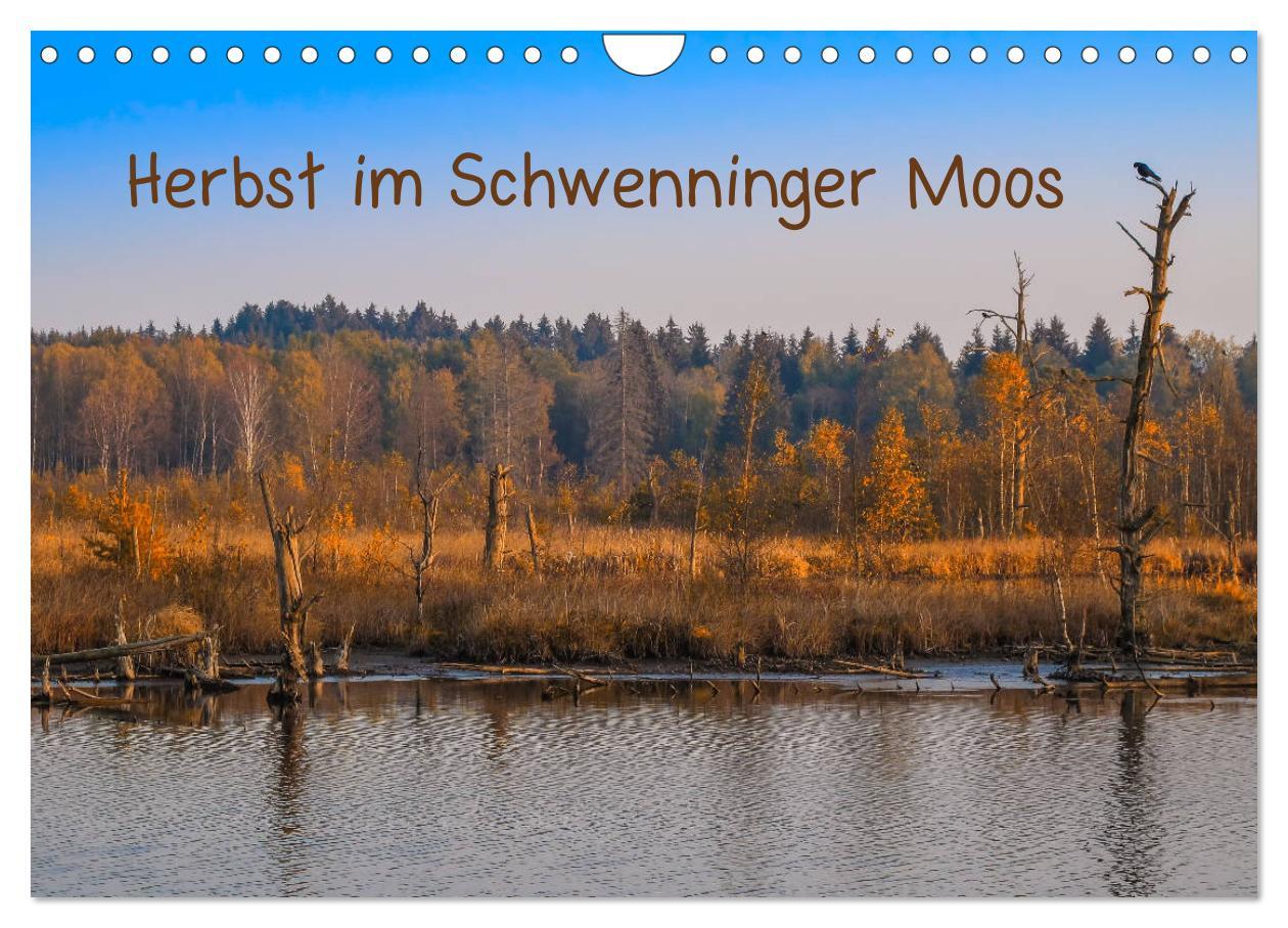 Cover: 9783435228119 | Herbst im Schwenninger Moos (Wandkalender 2025 DIN A4 quer),...