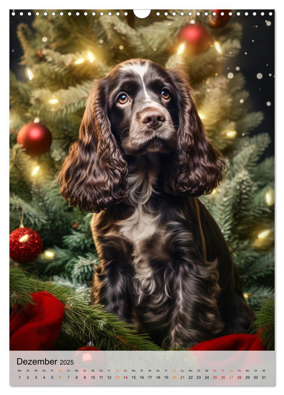 Bild: 9783383765421 | Cocker Spaniel - ein Hund für die Familie (Wandkalender 2025 DIN A3...