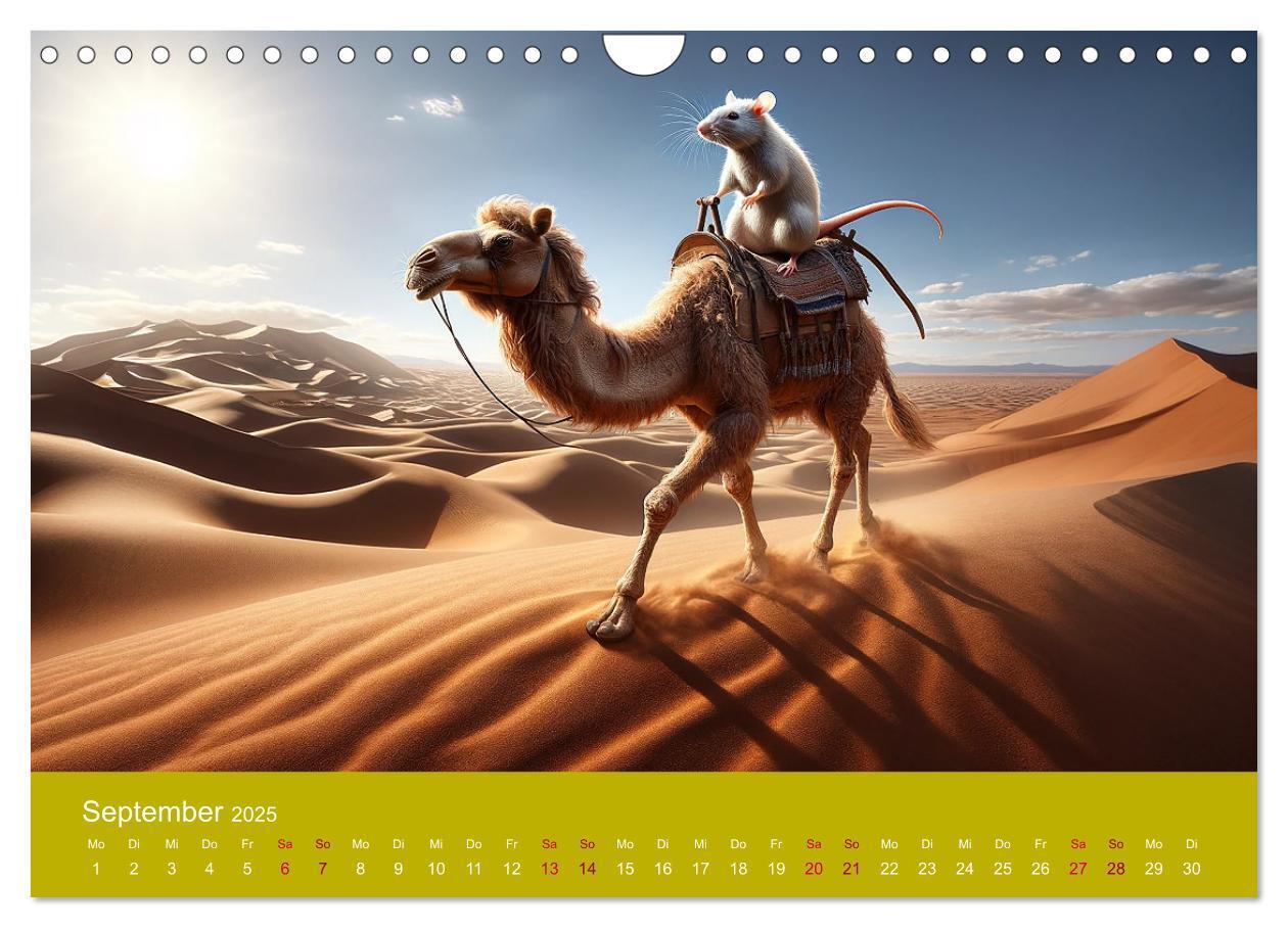 Bild: 9783383768606 | Abenteuerliche Ratten (Wandkalender 2025 DIN A4 quer), CALVENDO...