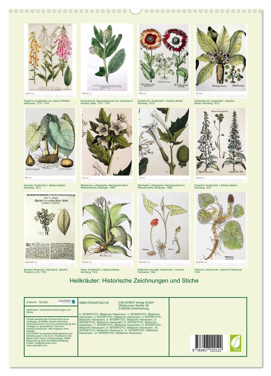 Bild: 9783457022122 | Heilkräuter: Historische Zeichnungen und Stiche (hochwertiger...