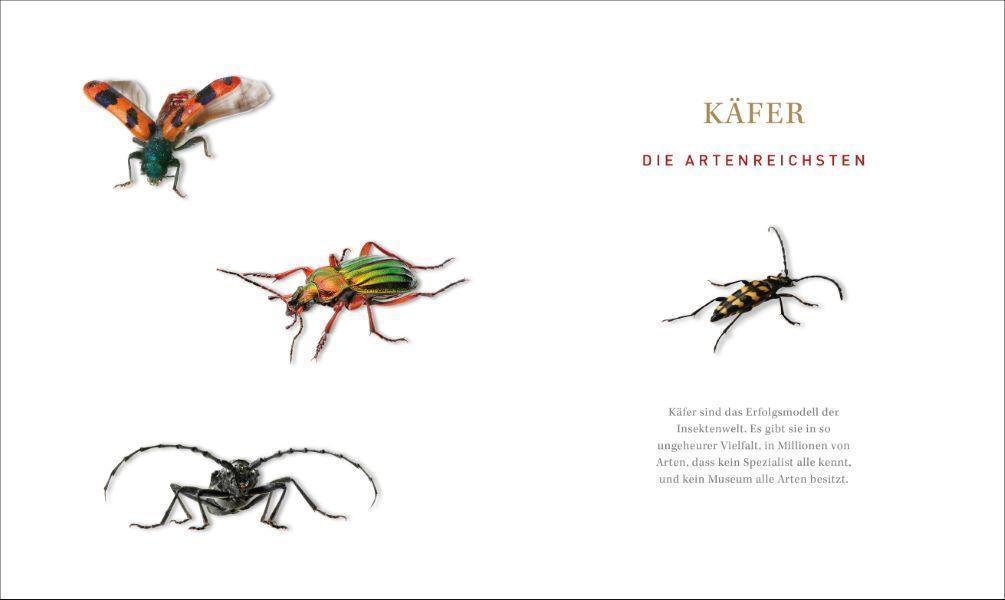 Bild: 9783954163236 | Unsere einzigartige Insektenwelt | Josef H. Reichholf (u. a.) | Buch