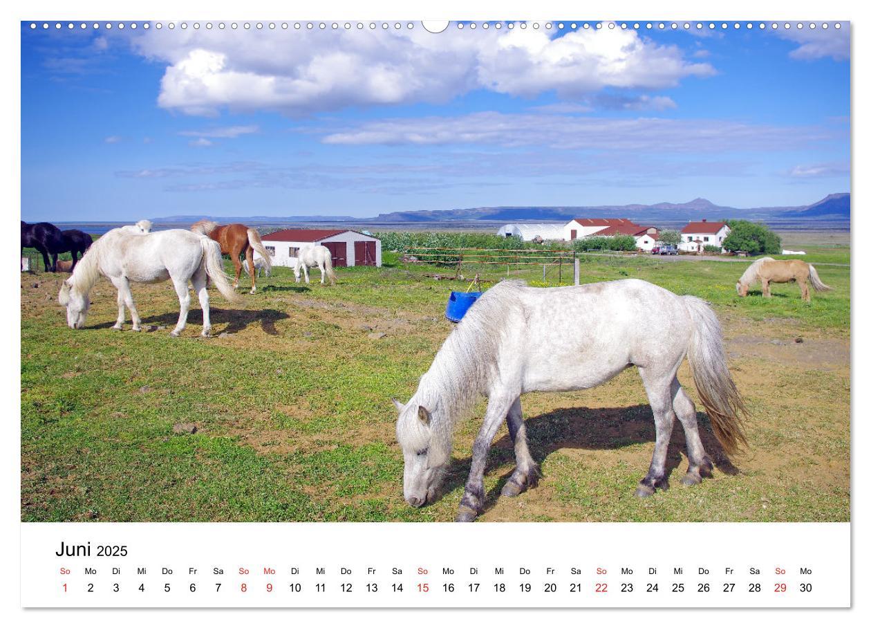 Bild: 9783435613274 | Die Pferde Islands - Ein Streifzug durch Island (Wandkalender 2025...