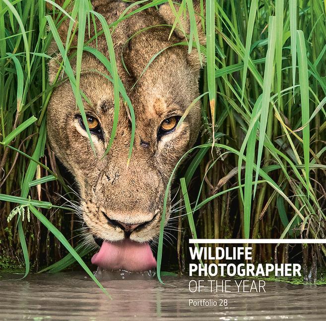 Cover: 9780565094287 | Wildlife Photographer of the Year. Portfolio.28 | Rosamund Kidman Cox