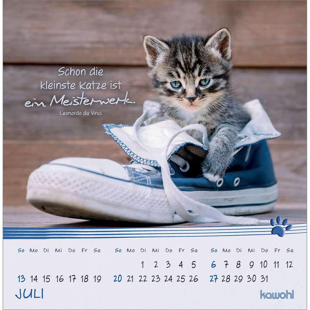 Bild: 9783754816950 | Kleine Katzen-Tatzen 2025 | Postkarten-Kalender | Kalender | 13 S.