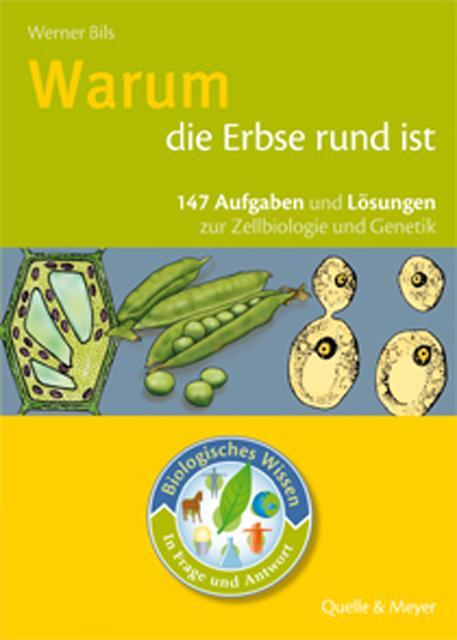 Cover: 9783494014593 | Biologisches Wissen in Frage und Antwort. Warum die Erbse rund ist