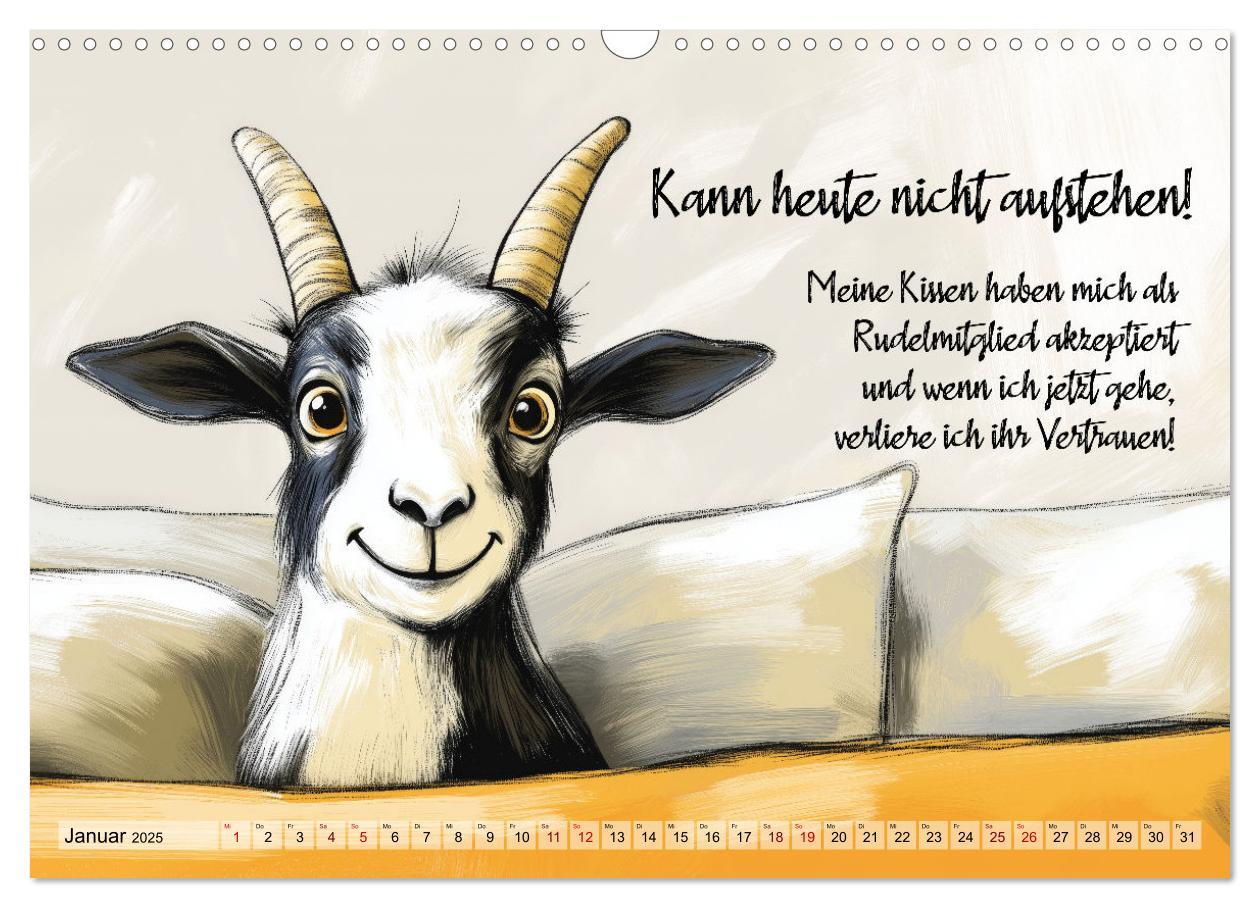 Bild: 9783457186091 | Ziegen, süß aber psycho (Wandkalender 2025 DIN A3 quer), CALVENDO...