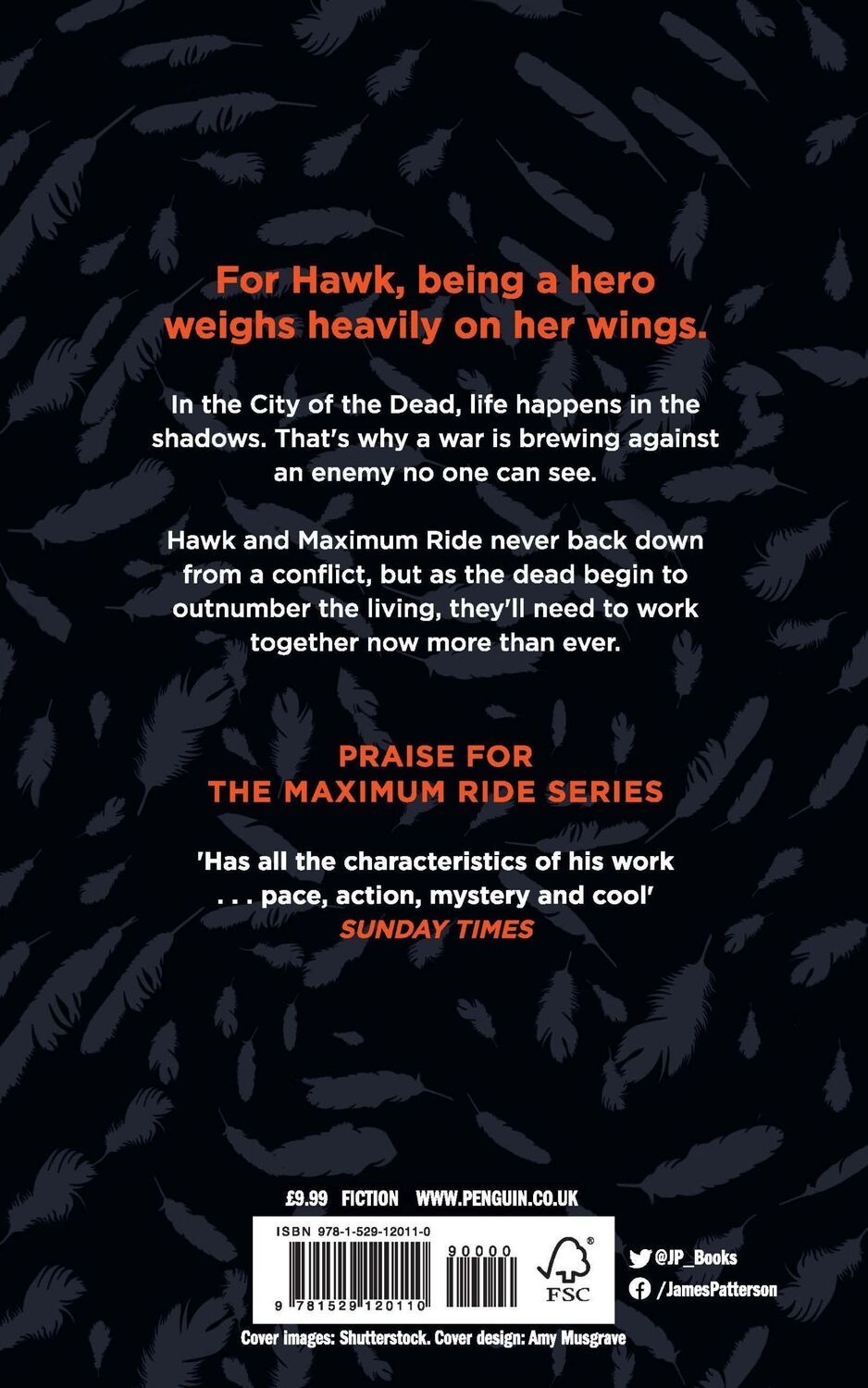 Rückseite: 9781529120110 | City of the Dead: A Maximum Ride Novel | (Hawk 2) | James Patterson