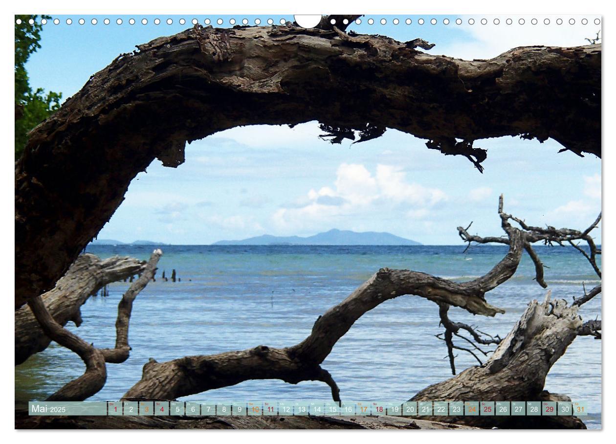 Bild: 9783435034956 | Raja Ampat - Impressionen (Wandkalender 2025 DIN A3 quer), CALVENDO...