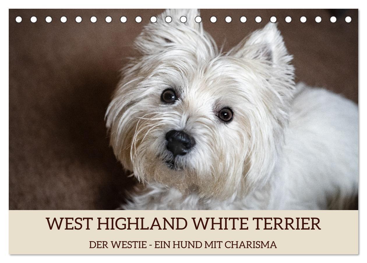 Cover: 9783383906770 | WEST HIGHLAND WHITE TERRIER - DER WESTIE - EIN HUND MIT CHARISMA...