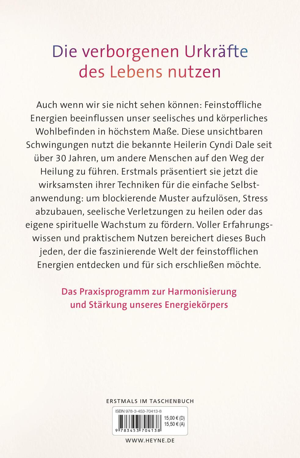 Bild: 9783453704138 | Das große Buch der feinstofflichen Energien | Cyndi Dale | Taschenbuch