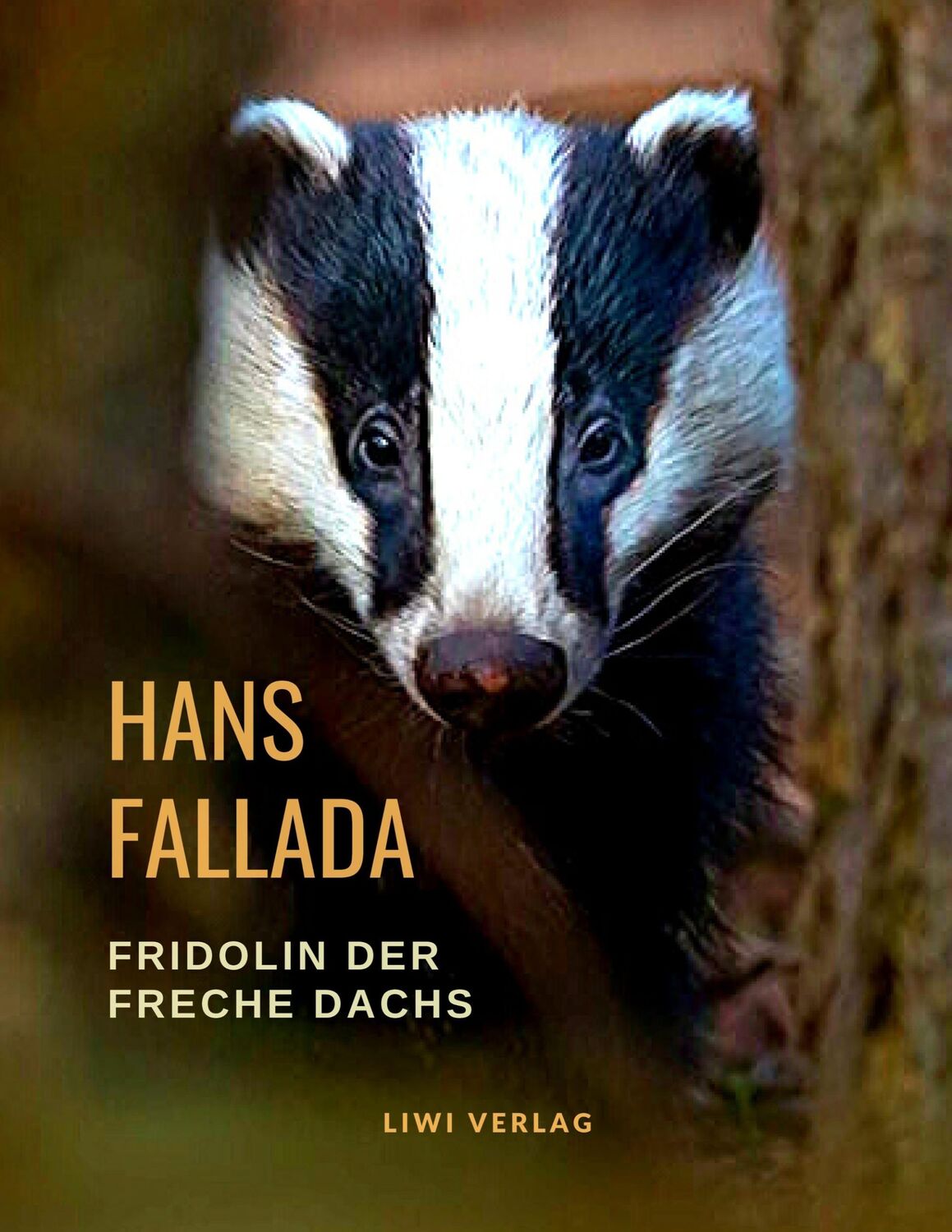 Cover: 9783965422070 | Fridolin der freche Dachs | Hans Fallada | Taschenbuch | Paperback