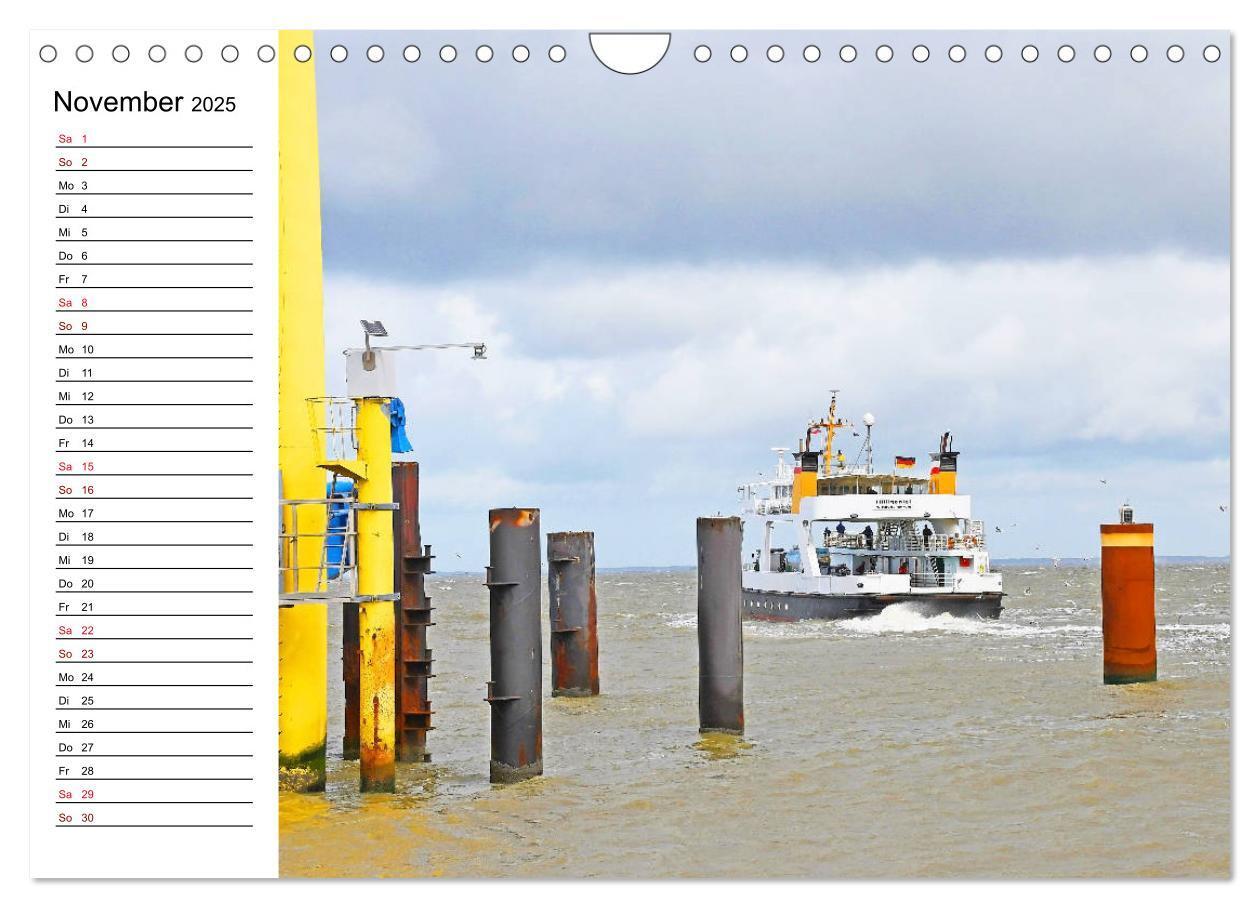 Bild: 9783435115648 | Hallig Hooge - Romantik Pur (Wandkalender 2025 DIN A4 quer),...