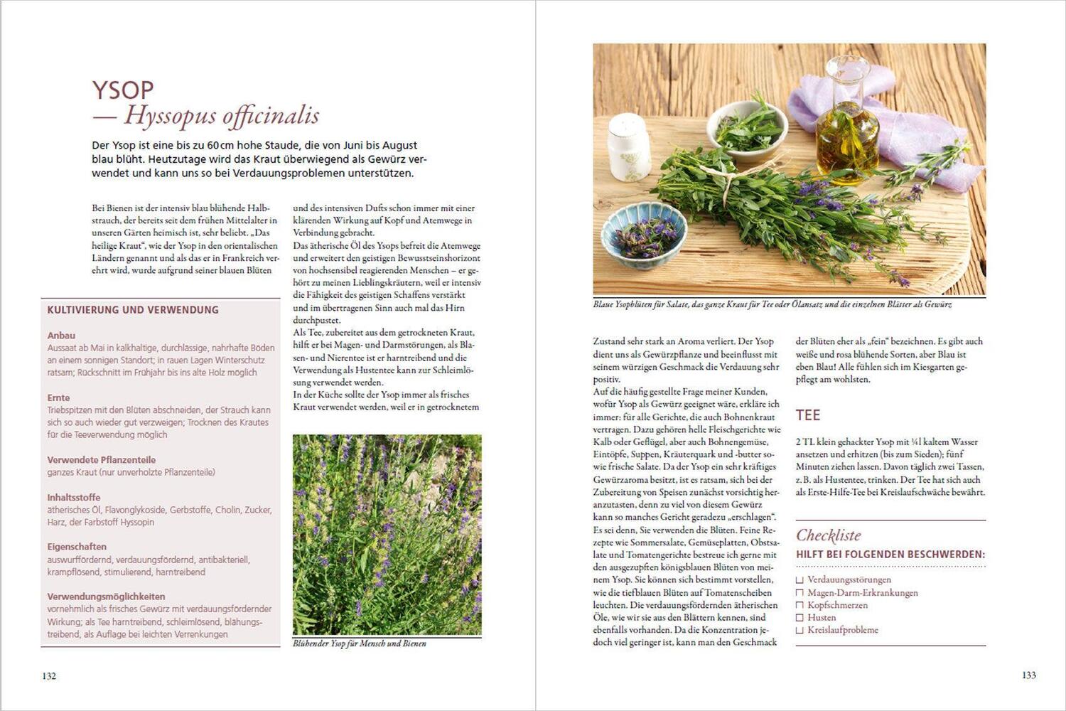 Bild: 9783809446316 | Meine Gartenapotheke. Heilen und gesund leben mit Gemüse, Obst und...