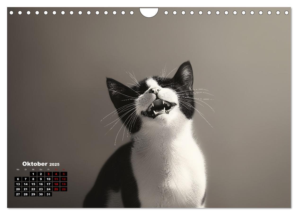 Bild: 9783457201985 | Auch Katzen lachen gern (Wandkalender 2025 DIN A4 quer), CALVENDO...