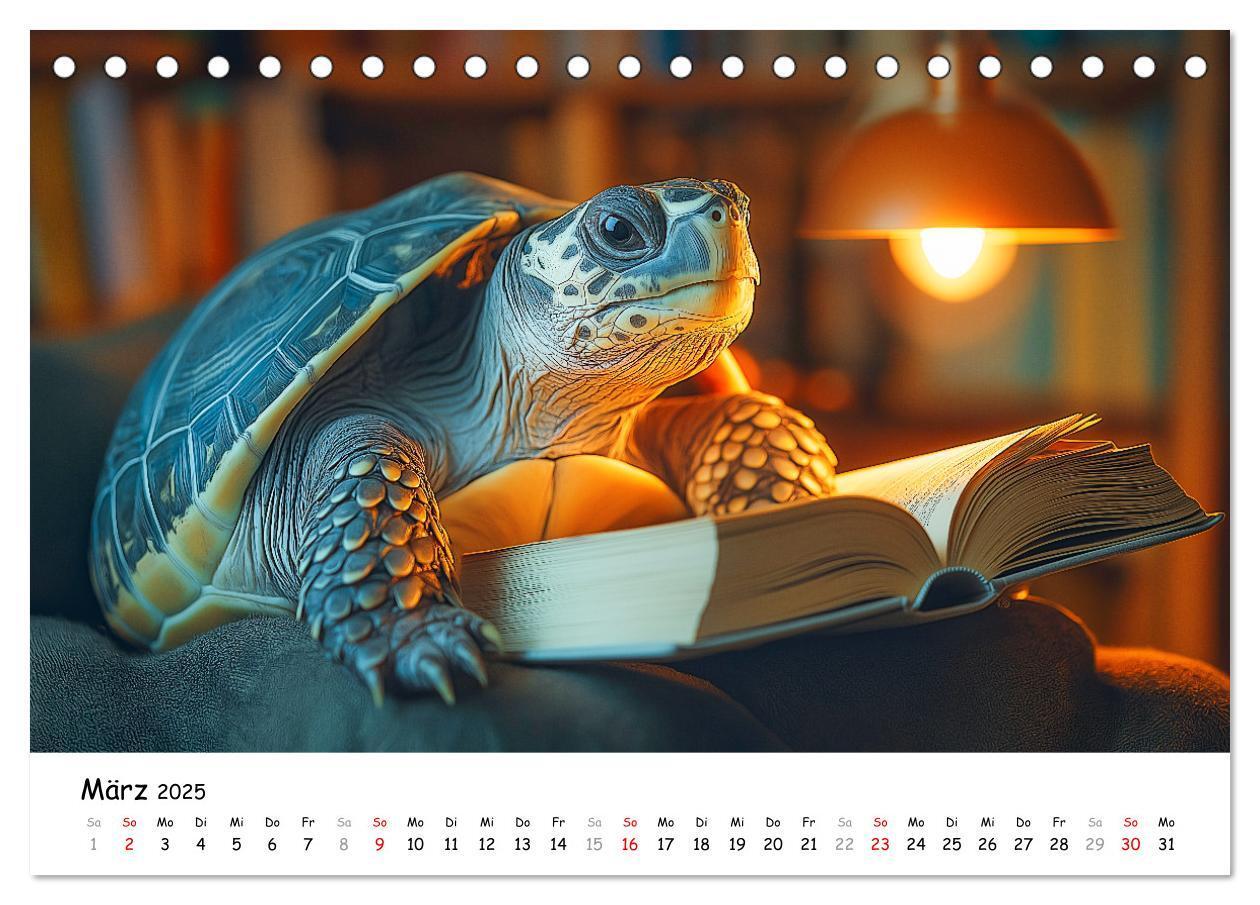 Bild: 9783457215890 | CHILL MAL - Entspannte Schildkröten beim Faulenzen (Tischkalender...