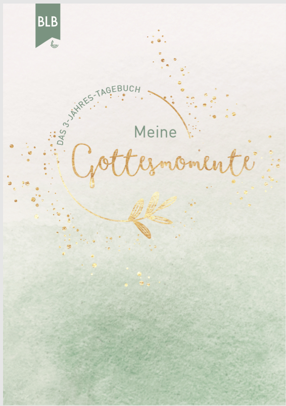 Cover: 9783955683528 | Meine Gottesmomente | Das 3-Jahres-Tagebuch, Eintragbuch | Steffen