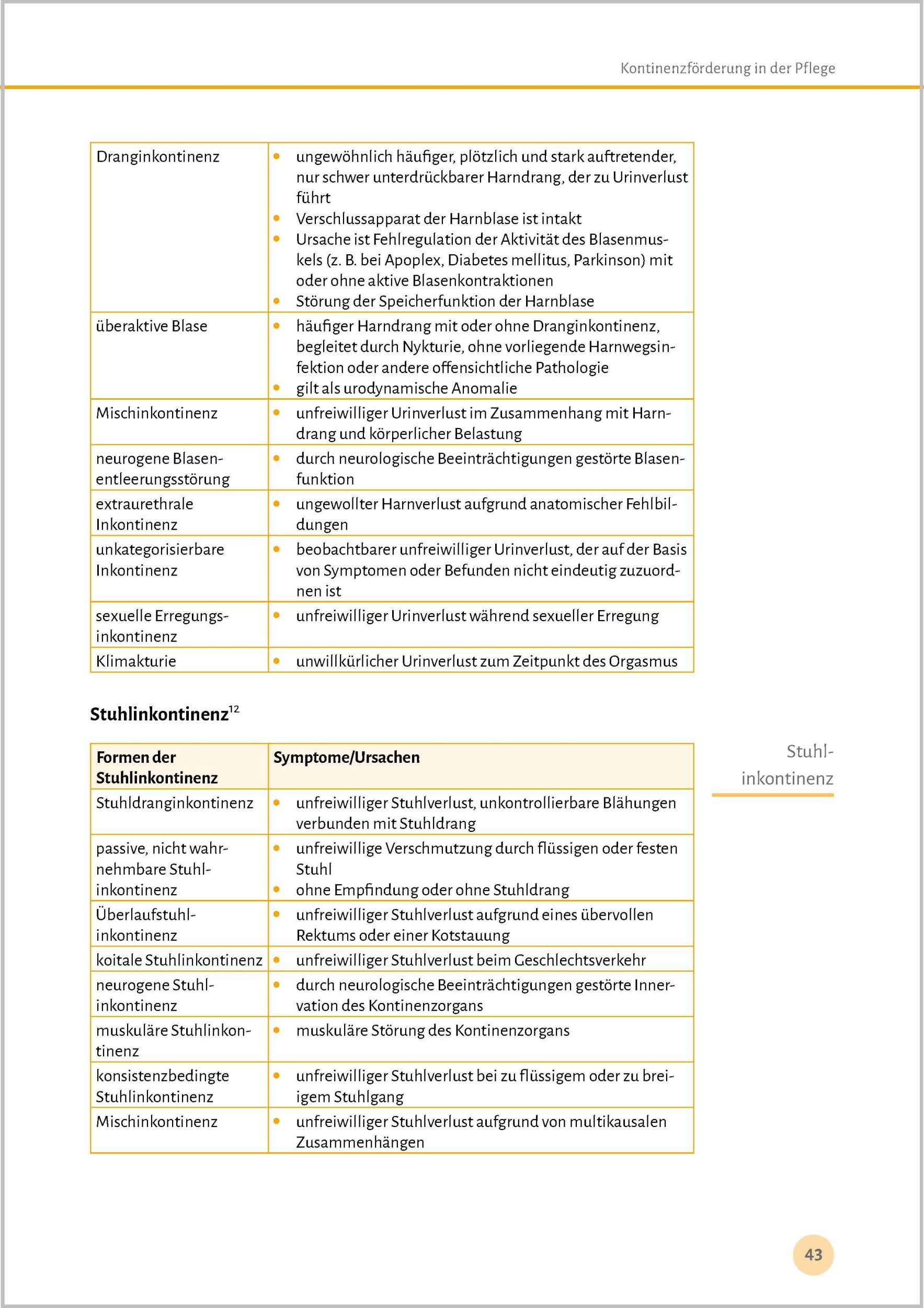 Bild: 9783948106508 | Expertenstandards leicht gemacht | Björn Philipp | Taschenbuch | 2024