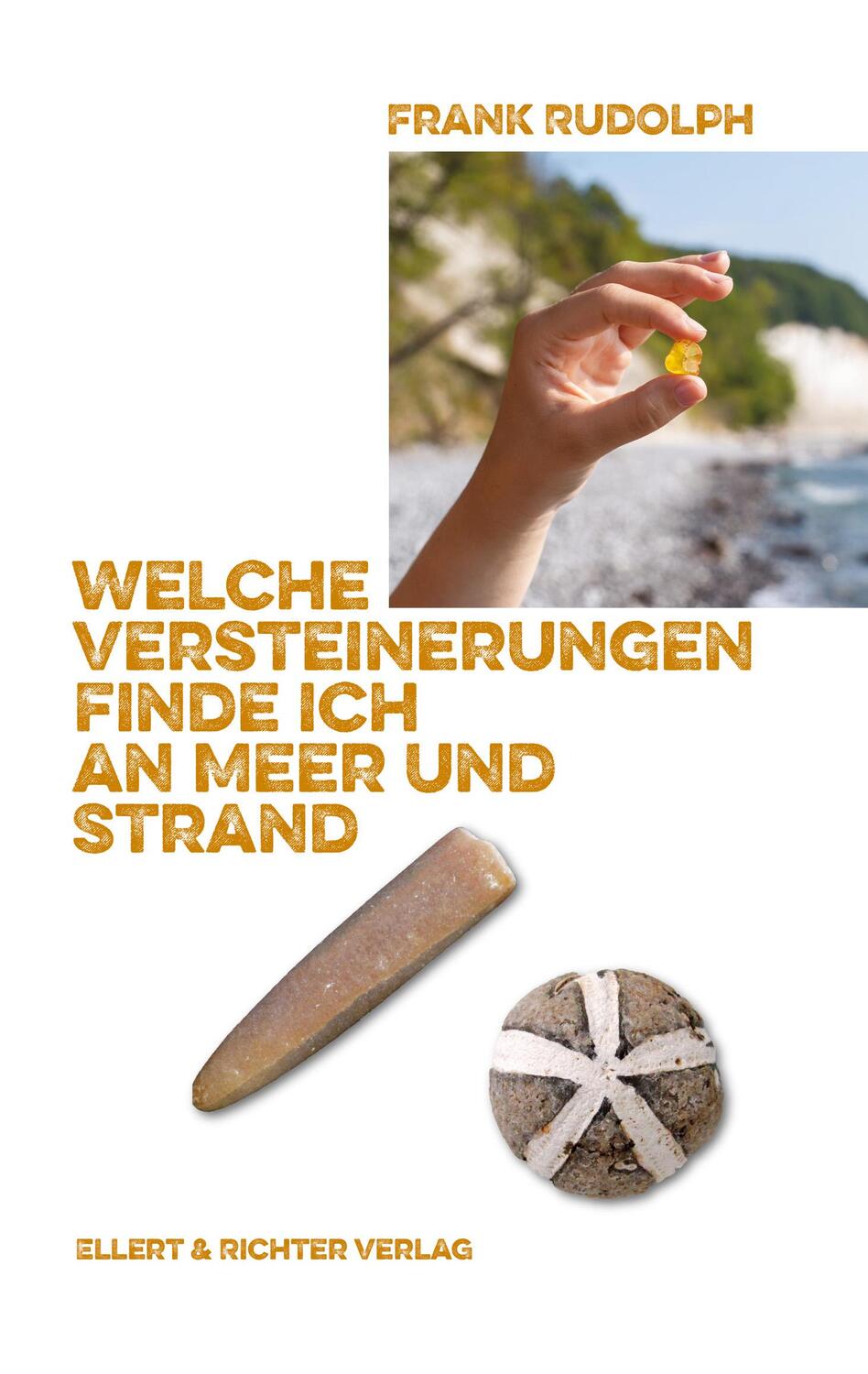 Cover: 9783831908547 | Welche Versteinerungen finde ich an Meer und Strand | Frank Rudolph