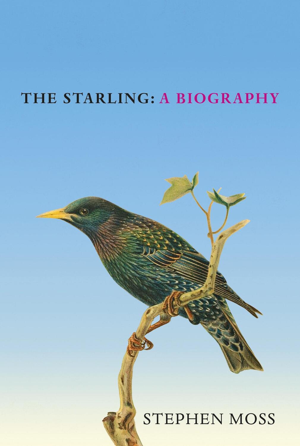 Cover: 9781529908282 | The Starling | A Biography | Stephen Moss | Buch | 208 S. | Englisch