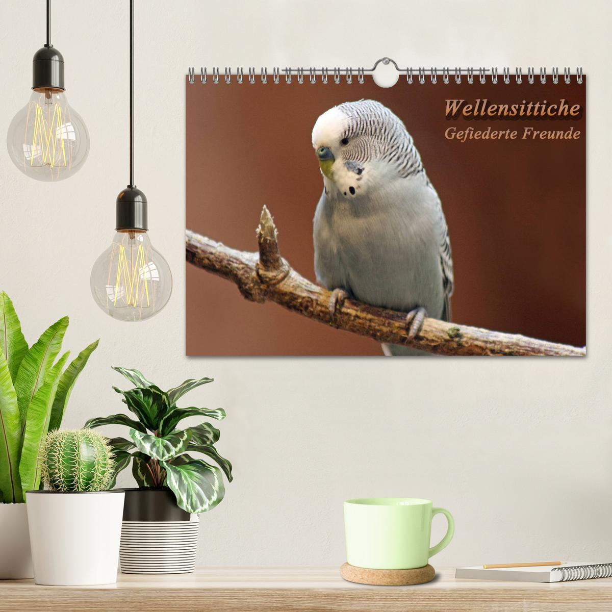 Bild: 9783435793402 | Wellensittiche - Gefiederte Freunde (Wandkalender 2025 DIN A4...